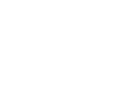 Action Painting Inc's Logo